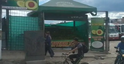 COMERCIALIZADORA DE AGUACATES EL CASTILL BOGOTÁ COMERCIALIZADORA DE AGUACATES EL CASTILL BOGOTÁ